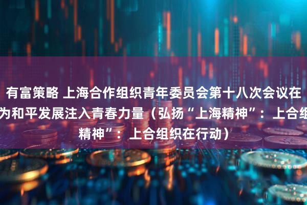 有富策略 上海合作组织青年委员会第十八次会议在京举行—— 为和平发展注入青春力量（弘扬“上海精神”：上合组织在行动）