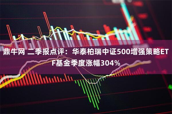 鼎牛网 二季报点评：华泰柏瑞中证500增强策略ETF基金季度涨幅304%
